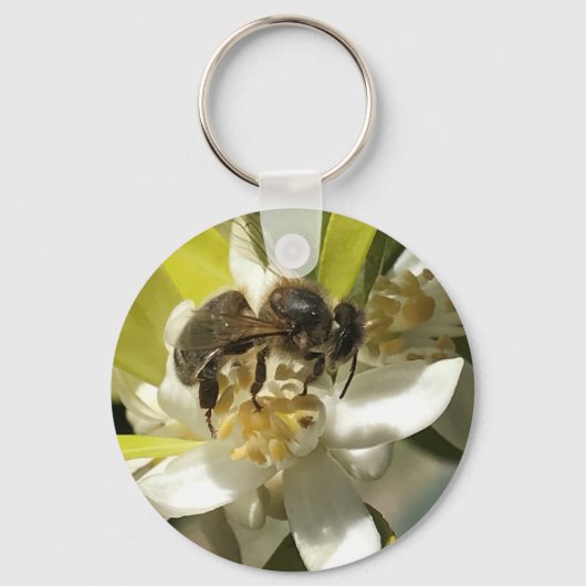 Porte-clés abeille sur fleur d'orange (Recto)