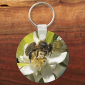 Porte-clés abeille sur fleur d'orange (Recto)