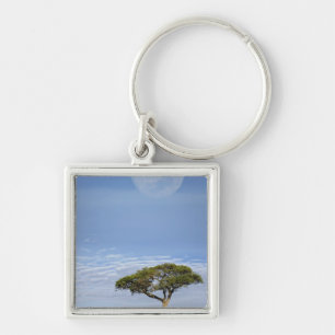 Porte-clés Acacia tortilis, et
