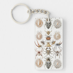 Porte-clés Academia Noire Haeckel Vintage Araignée Symétrie A
