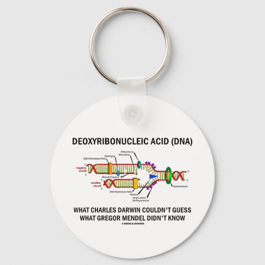Porte-clés Acide désoxyribonucélique (ADN) Mendel Darwin (Recto)
