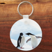 Porte-clés Adelie Penguins (Recto)