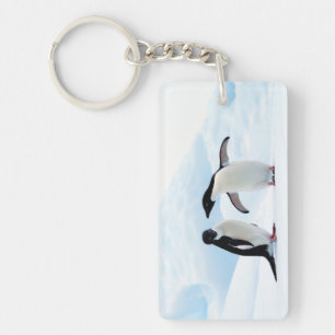 Porte-clés Adelie Penguins