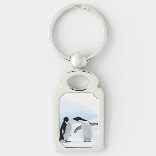 Porte-clés Adelie Penguins (Devant)