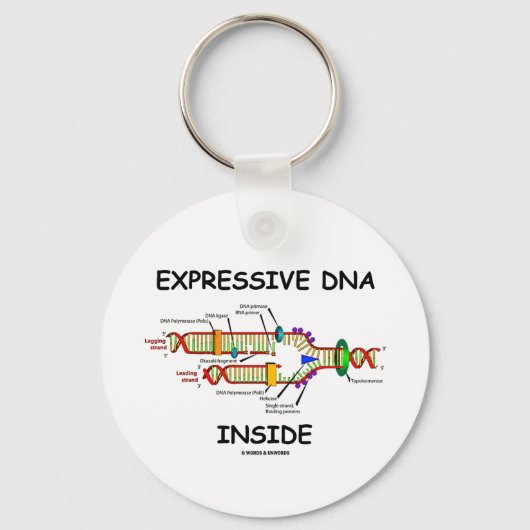 Porte-clés ADN expressif à l'intérieur (réplication de l'ADN) (Recto)