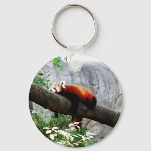 Porte-clés adorable animal de panda rouge paresseux