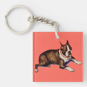 Porte-clés adorable Boston terrier