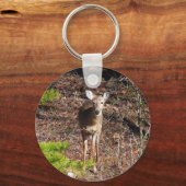 Porte-clés Adorable Cerf dans les Bois Photographie de la nat (Verso)