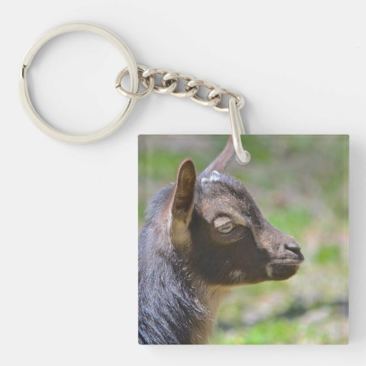 Porte-clés adorable chèvre de bébé (Devant)