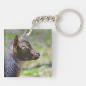Porte-clés adorable chèvre de bébé (Dos)