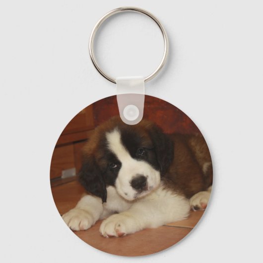 Porte-clés Adorable et doux St. Bernard Puppy (Recto)
