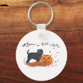 Porte-clés Affenpinscher Halloween (Recto)