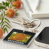 Porte-clés Affichage de la paire (Devant Droit)