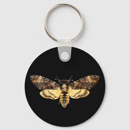 Porte-clés african death head moth butterfly insect Acheronti (Recto)