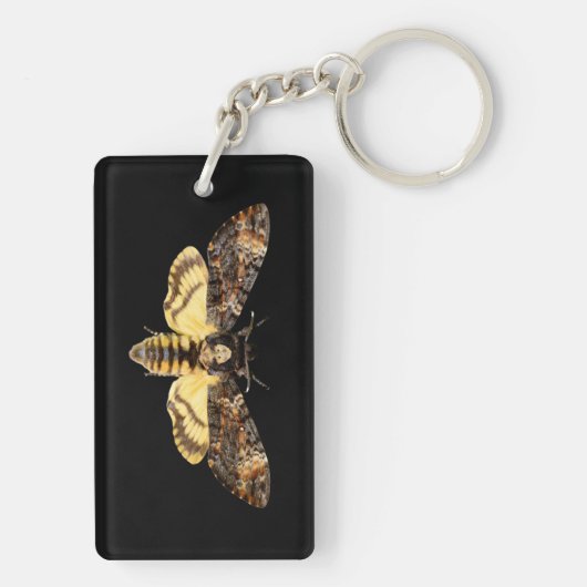 Porte-clés african death head moth butterfly insect Acheronti (Dos)