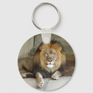 Porte-clés african-lion-b-2