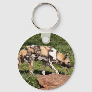 Porte-clés african-wild-dog-010