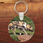 Porte-clés african-wild-dog-010 (Recto)