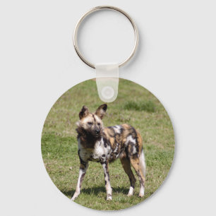 Porte-clés african-wild-dog-014