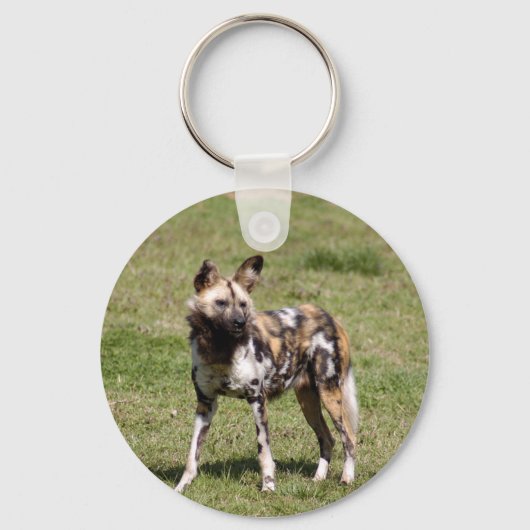 Porte-clés african-wild-dog-014 (Recto)