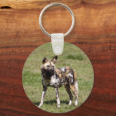 Porte-clés african-wild-dog-014 (Recto)