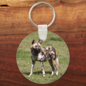 Porte-clés african-wild-dog-015 (Recto)