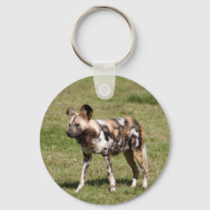 Porte-clés african-wild-dog-016