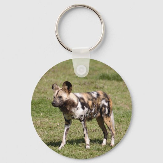 Porte-clés african-wild-dog-016 (Recto)