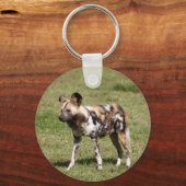 Porte-clés african-wild-dog-016 (Recto)