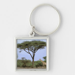 Porte-clés Afrique, Botswana, Delta de l'Okavango. Sud