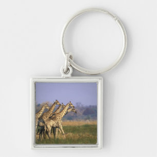 Porte-clés Afrique, Botswana, Réserve de gibier de Moremi