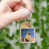 Porte-clés Afrique, Egypte, Caire, Plateau de Gizeh. Sphinx (main)