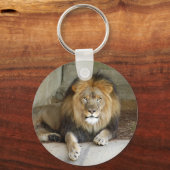 Porte-clés afrique-lion-b-2 (Recto)