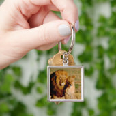 Porte-clés Afrique, Namibie, Okonjima. Lion & Lion (main)