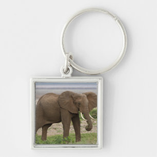 Porte-clés Afrique. Tanzanie. Éléphant au parc national du la