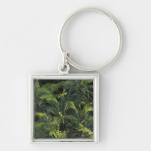 Porte-clés Afrique, Zambie, Parc national de Mosi-Oa-Tunya,