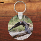 Porte-clés Aigle à queue plate (Recto)