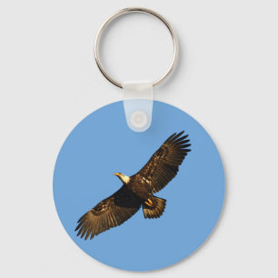 Porte-clés Aigle à tête blanche