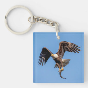 Porte-clés Aigle Bald avec un poisson