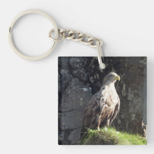 Porte-clés Aigle blanc puissant Habitat de falaise océanique