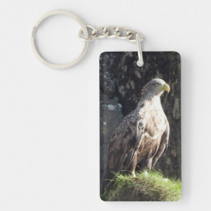 Porte-clés Aigle Blanc Sauvage Prédateur à Queue Blanche sur