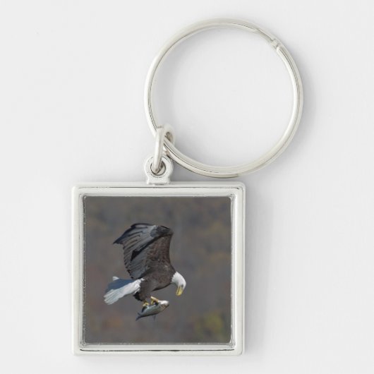 Porte-clés Aigle chauve regardant un poisson (Devant)