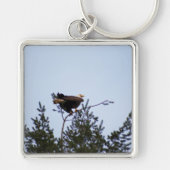 Porte-clés Aigle de Bald (Devant)