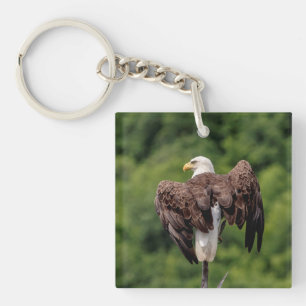 Porte-clés Aigle de Bald sur une branche