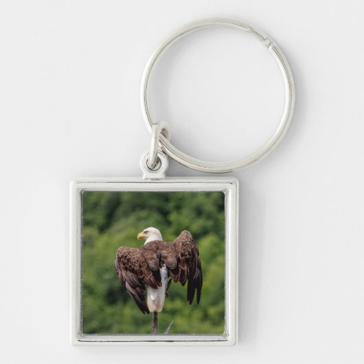 Porte-clés Aigle de Bald sur une branche (Devant)