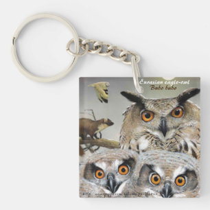 Porte-clés "Aigle d'Eurasie (Bubo bubo)"