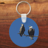 Porte-clés Aigles chauds (Recto)