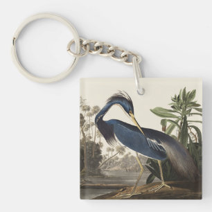 Porte-clés Aigrette de Louisiane, oiseau, Art vintage d'Audub