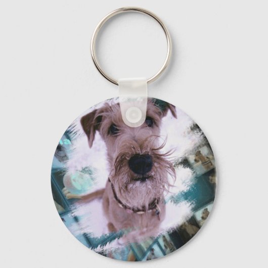 Porte-clés Aimant irish terrier (Recto)