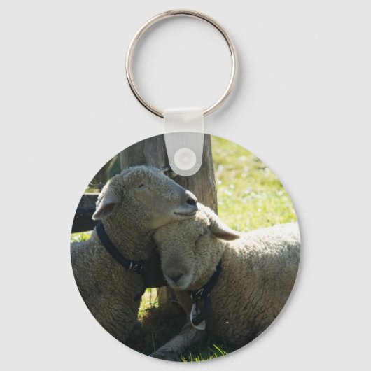 Porte-clés Aimer Ewe Sheep (Recto)